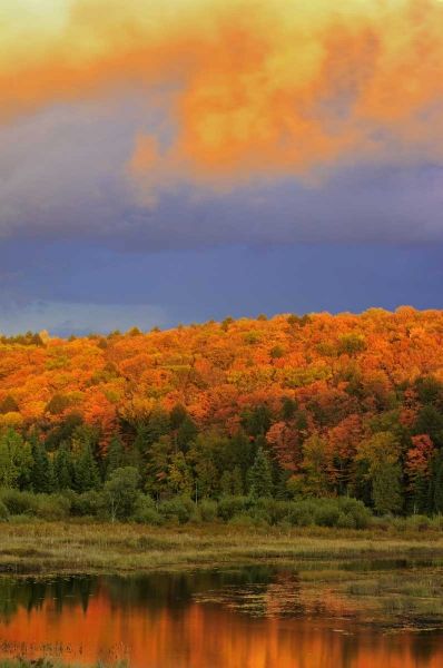 Canada, Ontario, Oxtongue Lake Sky and forest